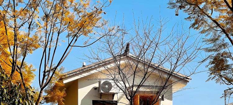 大理林栖山舍·Garden庭院度假别墅(苍山店)图片