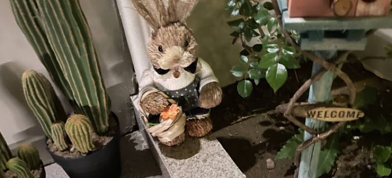 香石民宿(威海那香海店)图片