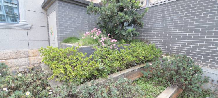 大理洱海公园美仑酒店图片