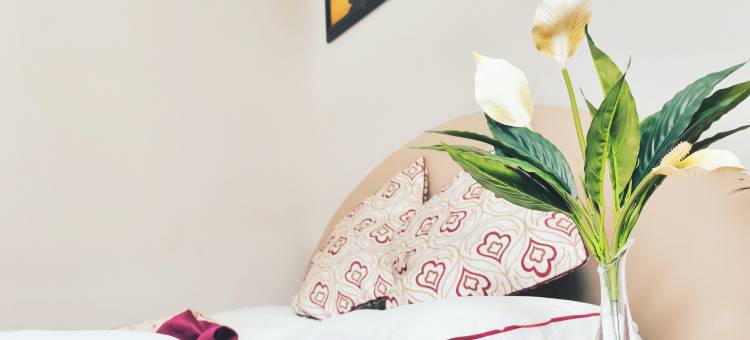 马边悦往宾馆图片