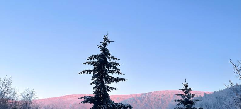 二青客栈(中国雪谷风景区店)图片