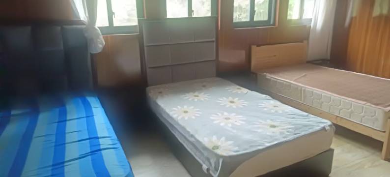 楠竹林农庄图片