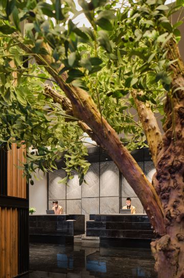 Rongcheng Holiday Hotel  (Shuangliu International Airport Outlet Store) Hotel Overview