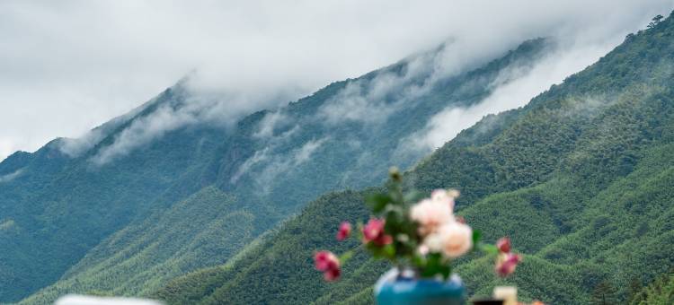 安吉隐川居·山野溯溪泳池度假villa民宿图片