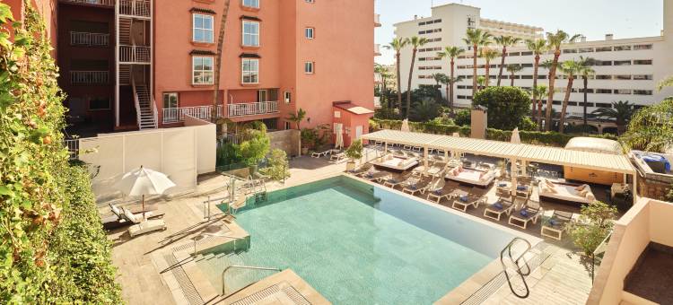 托雷莫里斯菲尼克斯酒店 - 建议限成人(Fénix Torremolinos - Adults Only Recommended)图片