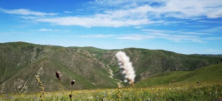 塞外五福游牧人家图片