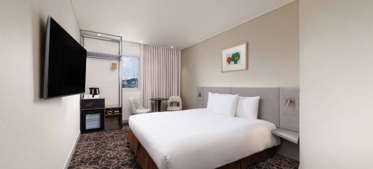 宜必思首尔仁寺洞大使酒店(ibis Ambassador Seoul Insadong)图片