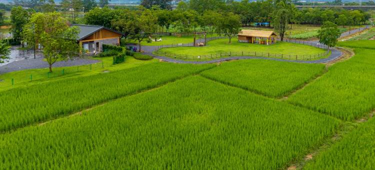 和秧合社·和秧别院图片