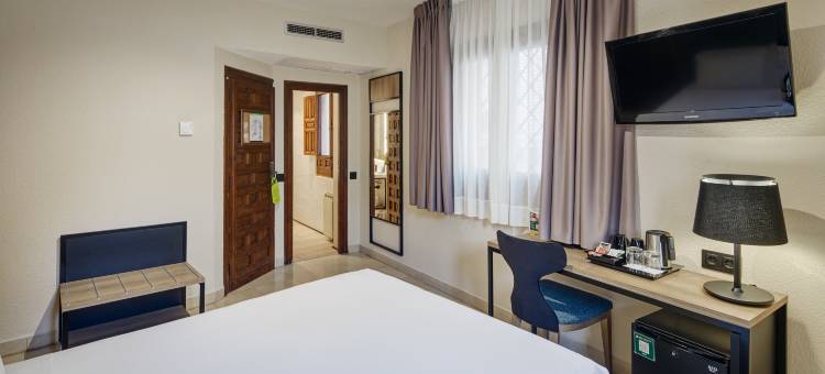 赛尔科特尔阿方索六世酒店(Sercotel Alfonso VI)图片