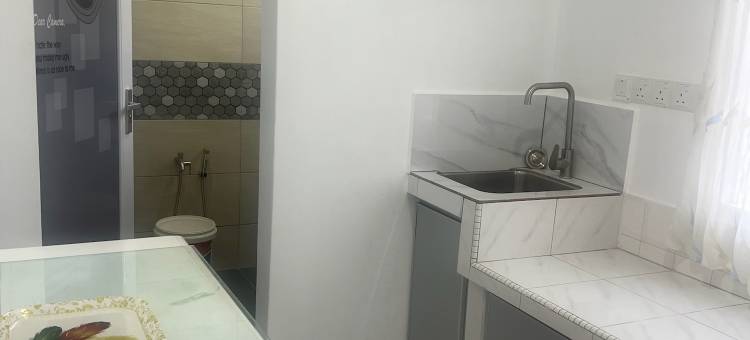 Style Star Inn Homestay (Alisa)图片