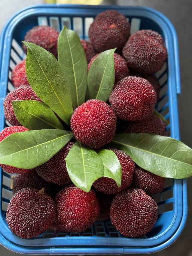 融悦酒店(仙居店)图片