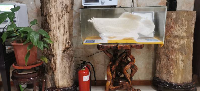 新乡壹号快捷酒店(火车站胖东来店)图片