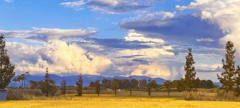 一揽芳华海景花园民宿(大理才村码头店)图片