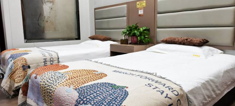 泾川舒琇酒店图片