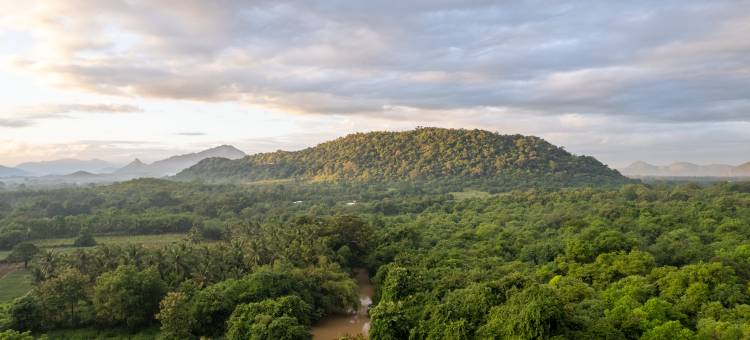 妙遇河居·丹布勒 | 奇遇系列(The River House Dambulla The Serendipity Collection)图片