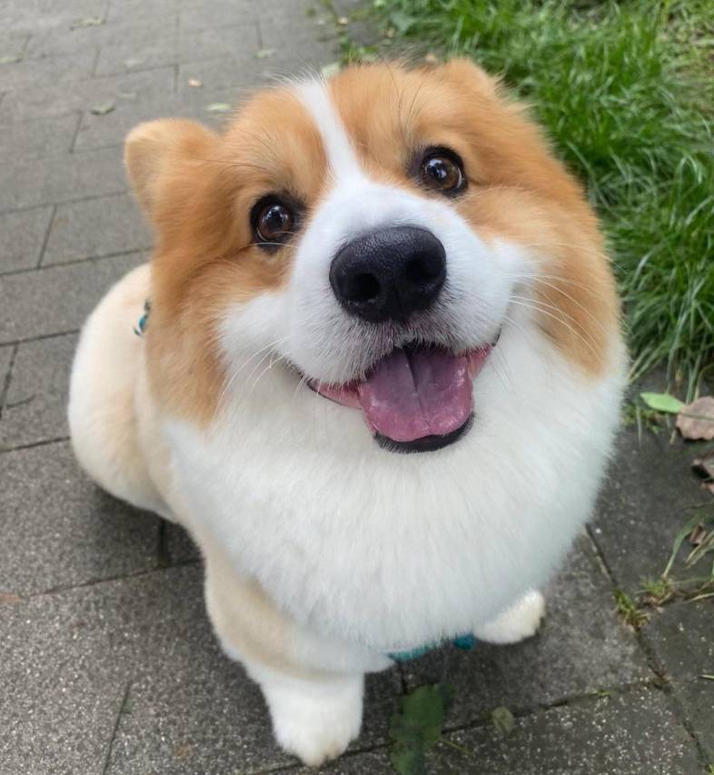 花筑·她的故事客栈(宏村景区内店)图片