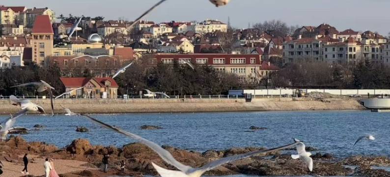 青岛证大喜玛拉雅酒店(国信体育中心店)图片