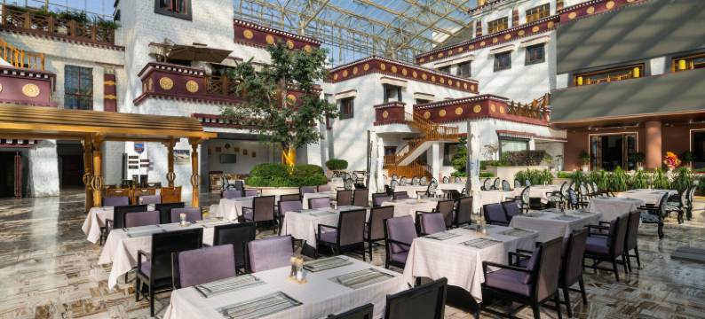 拉萨圣地天堂洲际大饭店图片