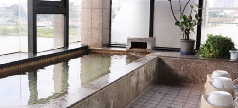 水戸第一酒店别馆(Mito Daiichi Hotel Bekkan)图片