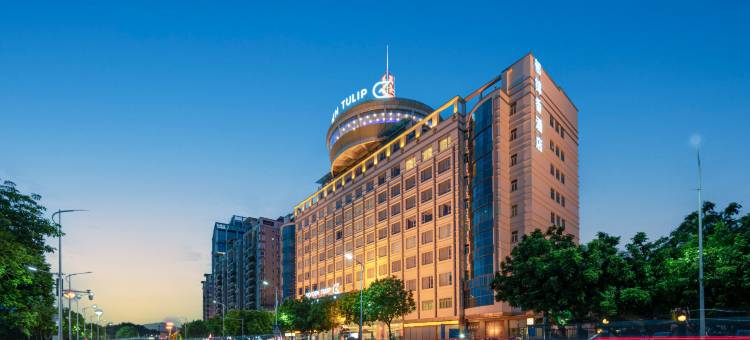 河源迈豪国际酒店图片
