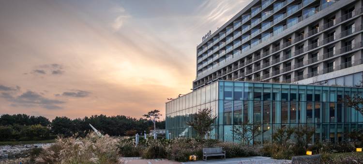 仁川鸟巢酒店(Nest Hotel, a Member of Design Hotels)图片