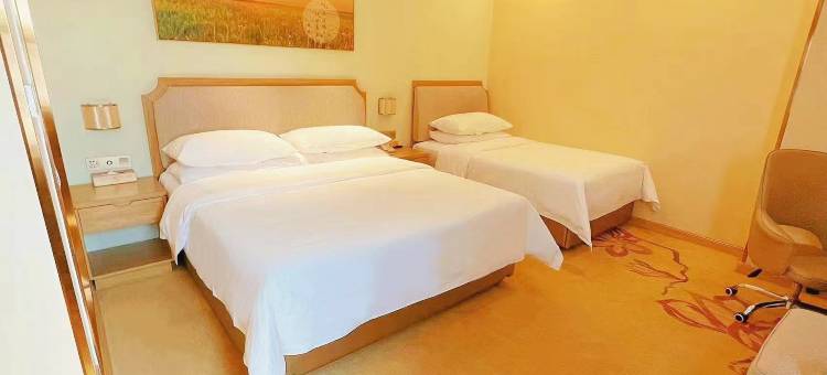 维也纳3好酒店(正定国际机场店)图片