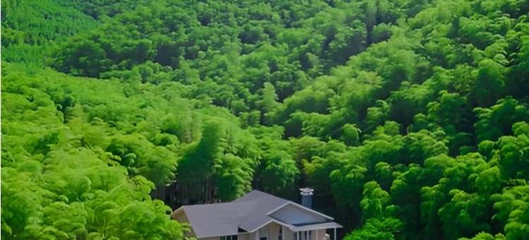 莫干山林溪别苑度假别墅图片