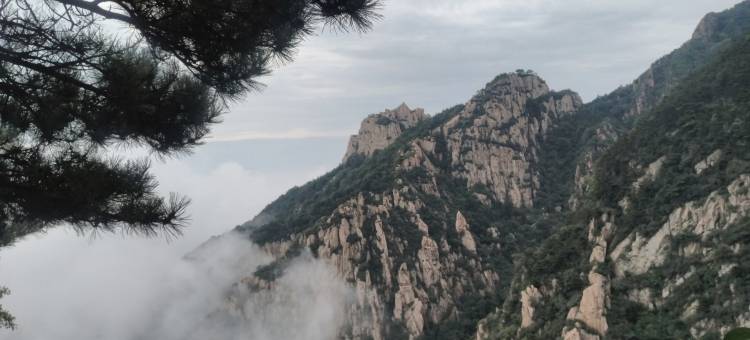 维也纳智好酒店(泰安泰山景区天外村店)图片