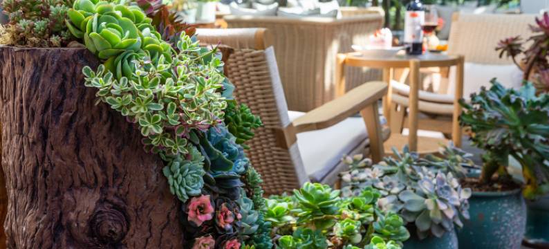 又见大理·洱海情缘｜ERHAIDESTINY'SBOND 匠心新宿(洱海才村店)图片