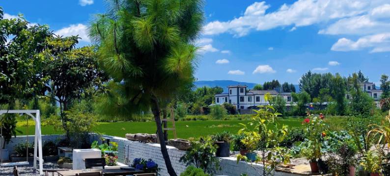 大理枫尚居民宿(喜洲麦田洱海生态廊道店)图片