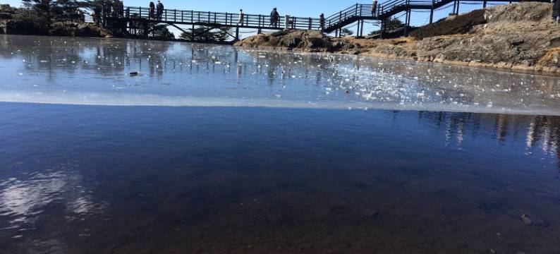 禄劝艾欧尼亚电竞酒店图片