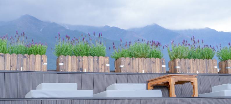 老故事客栈(大理古城南门店)图片