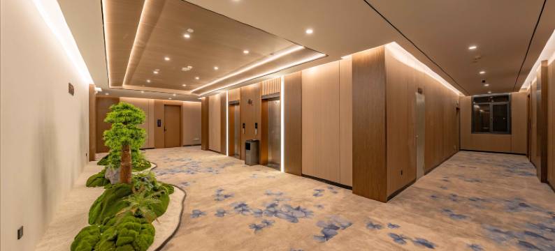 维西汤维格尊享酒店图片