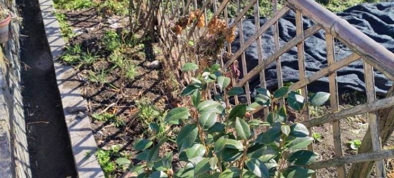 悦途民宿(九华山游客中心店)图片