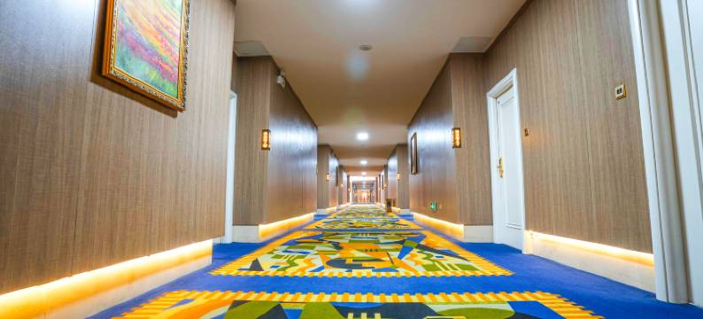 齐河欧乐堡海洋酒店图片