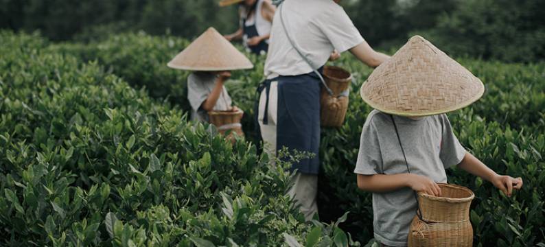黎平龙形冲TEATEL茶主题民宿图片