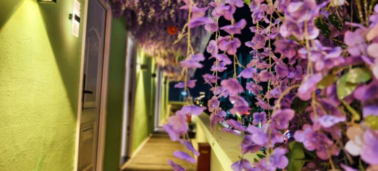 果妍妈妈的花房民宿(紫阳街店)图片