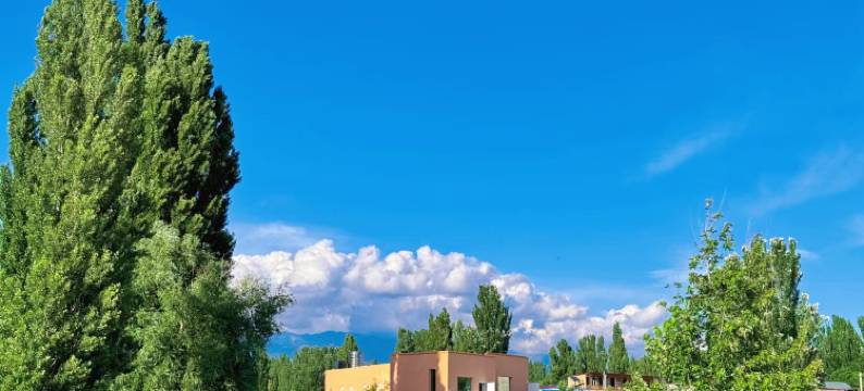霍城杏芙里·度假民宿(晃晃村店)图片