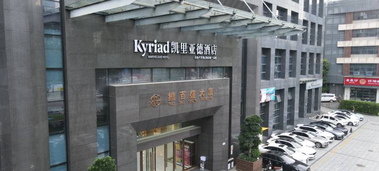 凯里亚德酒店(深圳大运新城盛平地铁站店)图片