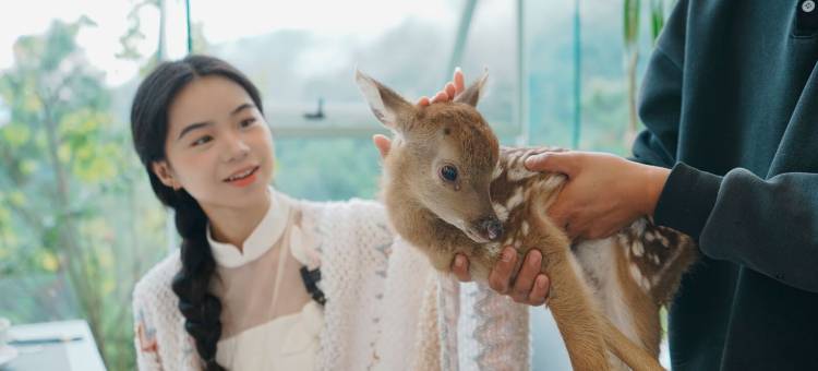 长臂猿度假酒店图片