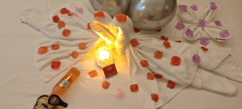 维也纳酒店(惠州惠阳站白云路店)图片