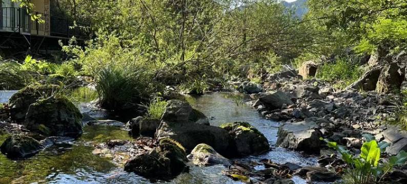 本溪小墙缝度假民宿(关门山店)图片