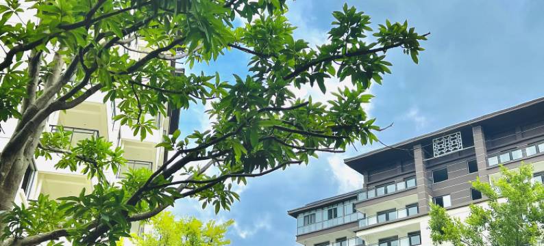 璞庐崃山书院当代艺术主题民宿图片