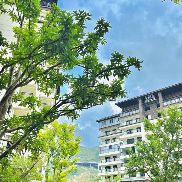 璞庐崃山书院当代艺术主题民宿图片