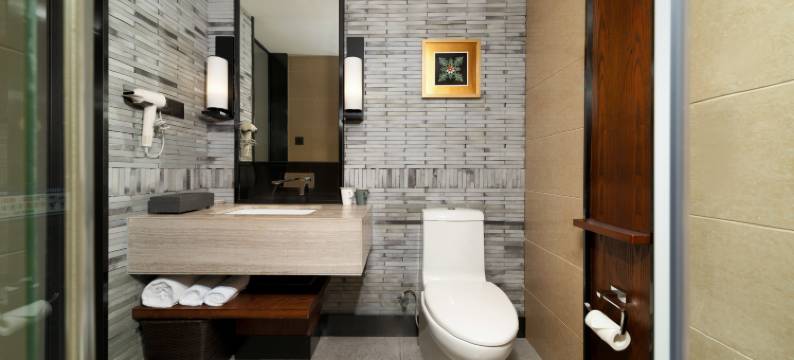 杭州野风君亭酒店(打铁关地铁站店)图片