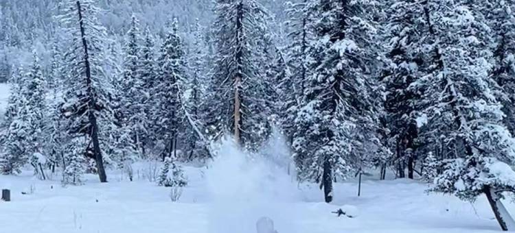 雪乡东方假日酒店图片