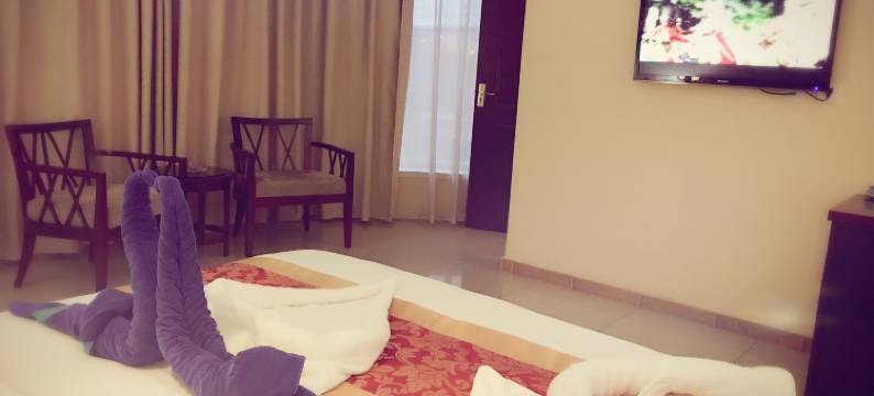 开罗阳光酒店(Soluxe Cairo Hotel)图片