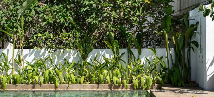 巴扎堡酒店(Fort Bazaar)图片