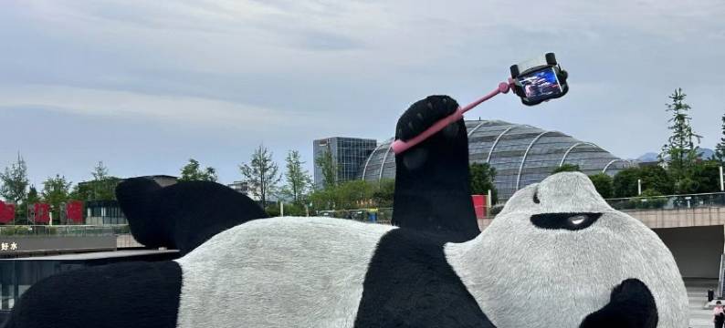 SFEEL设计师酒店(都江堰景区南桥店)图片