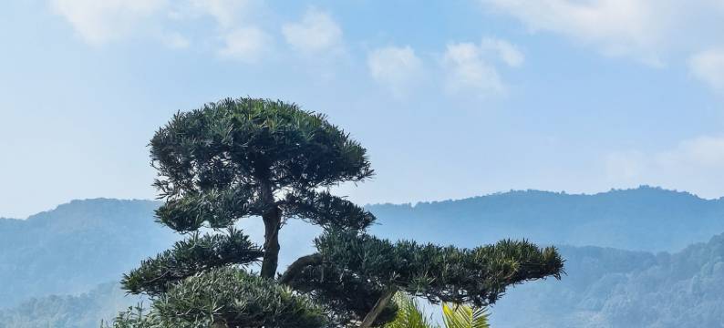 善好花园酒店(普洱古镇水湾公园店)图片